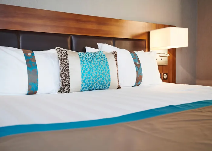 Hôtel accueillant les animaux: Holiday Inn Nice By Ihg